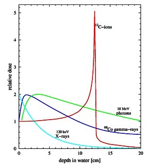 926. За характерный «хвост» после пика брэгга в глубинно-дозовом распределении для ядер углерода 14с отвечает
