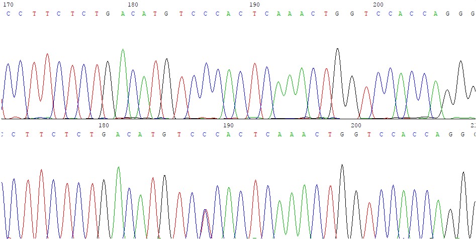 1782. Генетический вариант, выявленный в гене smarcb1 методом секвенирования по сэнгеру, результаты которого представлены на рисунке (дикого типа – сверху, с мутацией – снизу) согласно классификации мутаций является