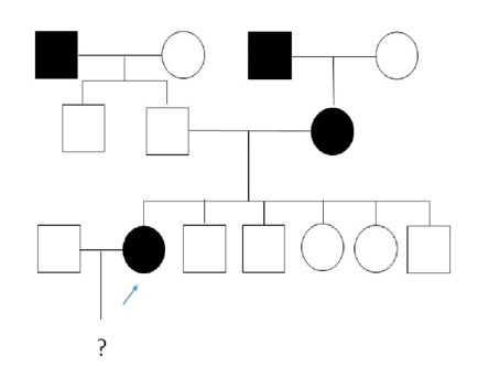 3372. Вероятность рождения больных детей у страдающей спиноцеребеллярной атаксией консультирующейся женщины, чья родословная представлена на рисунке, в браке со здоровым мужчиной составляет (в процентах)