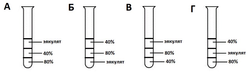 74. Пробирка с подготовленным образцом эякулята для обработки методом центрифугирования в градиенте плотностей изображена на рисунке