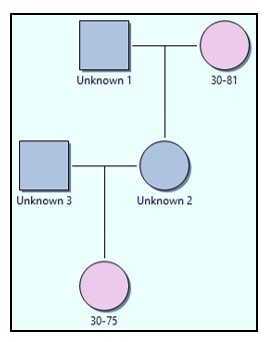1569. Методом исследования, не относящимся к определению родства между бабушкой и внучкой по материнской линии, является анализ