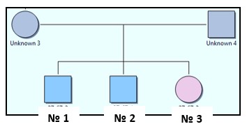 1571. Методом исследования, не относящимся к определению родства между полнородными братьями (№ 1 и № 2) и полнородной сестрой (№ 3), является анализ