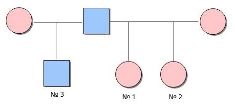 2282. Кто из родственников будет общий в случае двух полнородных сестёр (№ 1 и № 2) и одного единокровного брата (№ 3)?