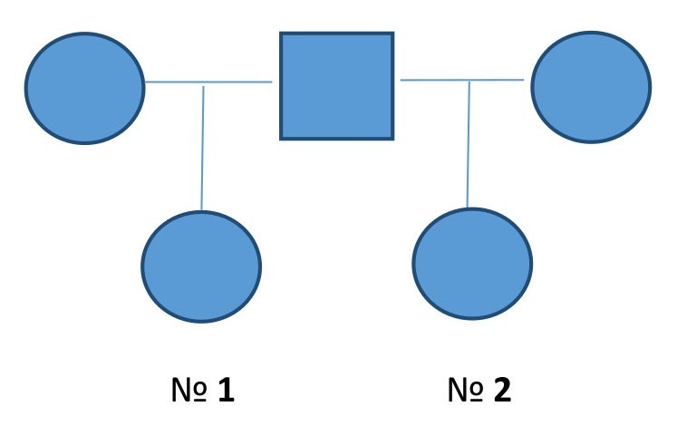 2594. Молекулярно-генетическая экспертиза родства между двумя предполагаемыми братьями (№ 1 и № 2) предусматривает