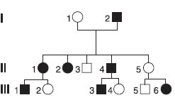 3690. Родословная семьи, представленная на рисунке, отягощена заболеванием с _____ типом наследования